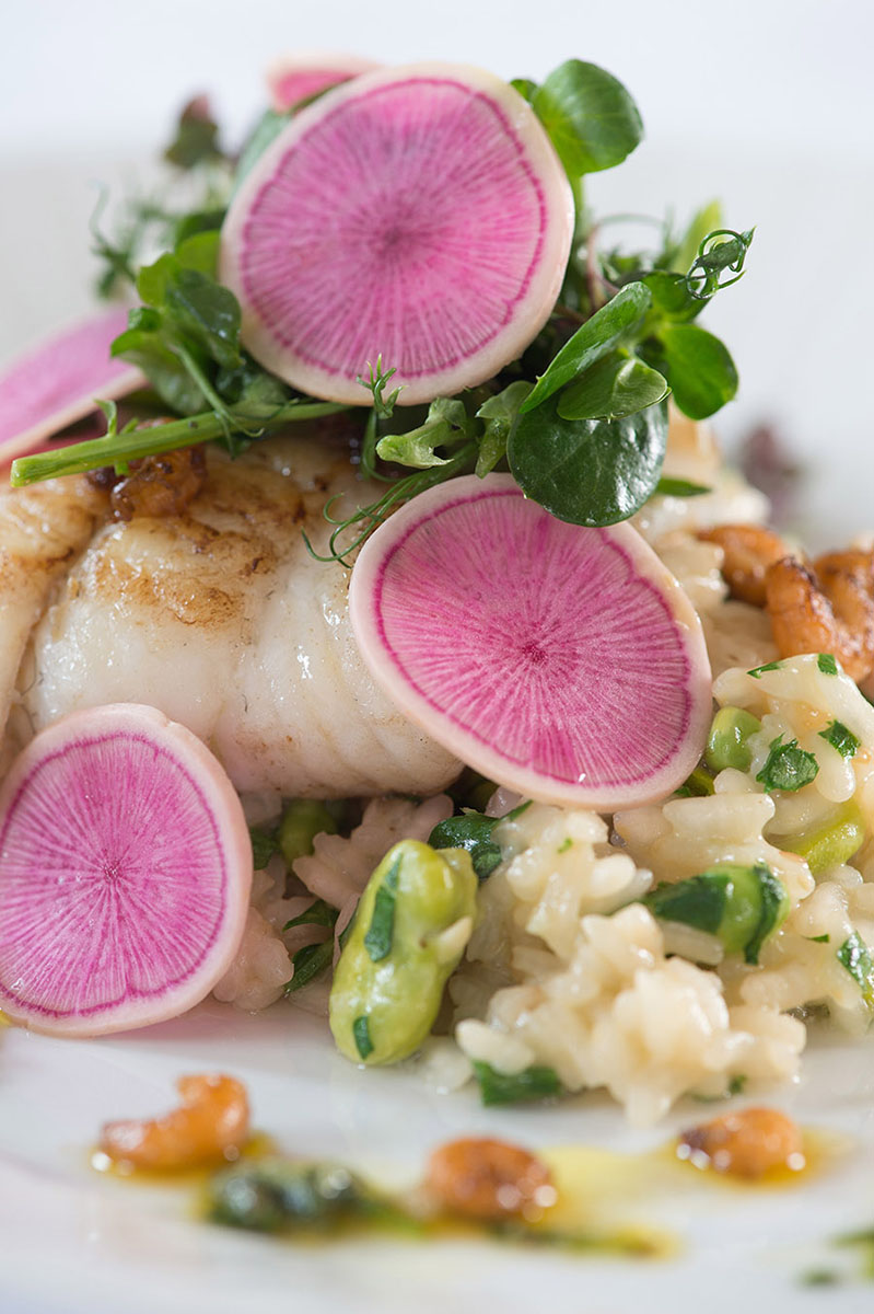 Rice and fish dish
